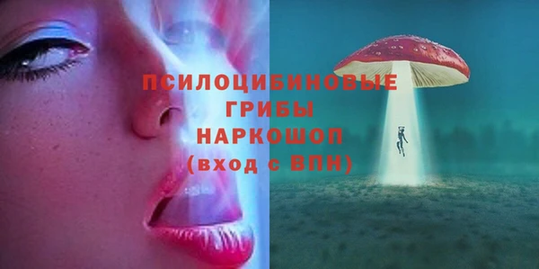 не бодяженный Дмитров