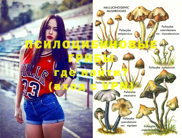 альфа пвп Гусев