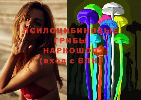 МДПВ Дмитровск