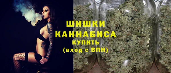 МДПВ Дмитровск