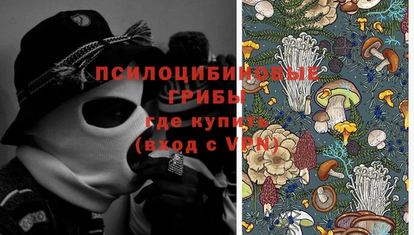 не бодяженный Дмитров